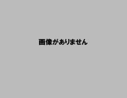 施行前